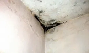 Mi a mennyezet primer Mi a mennyezet primer