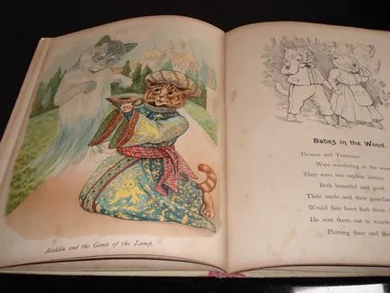 Szomorú kép a macskák