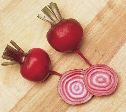 Hogyan kell sütni a céklát a mikrohullámú Hogyan kell sütni a céklát a mikrohullámú