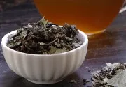 Hogyan készüljünk tea fűzfa tea