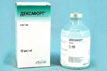Deksafort macskáknak