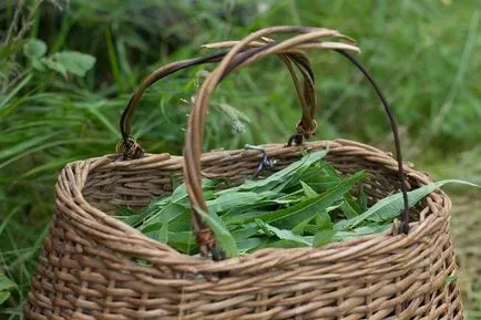 Hogyan készüljünk tea fűzfa tea