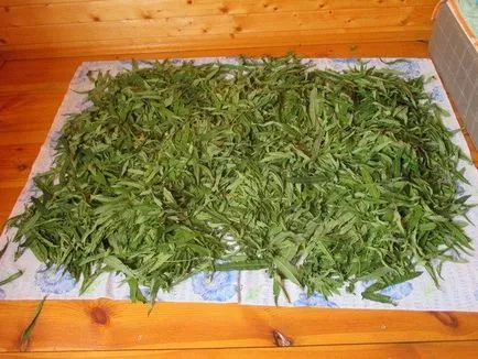 Hogyan készüljünk tea fűzfa tea