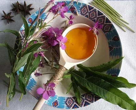 Hogyan készüljünk tea fűzfa tea