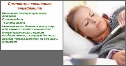 Hogy az agyvelőgyulladás Hogy az agyvelőgyulladás