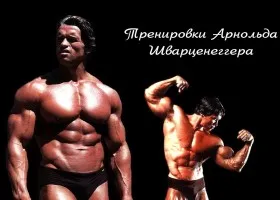 Mit vettem Arnold