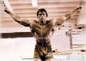 Mit vettem Arnold