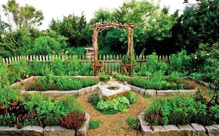 Hogyan díszítik a kert Hogyan díszítik a kert