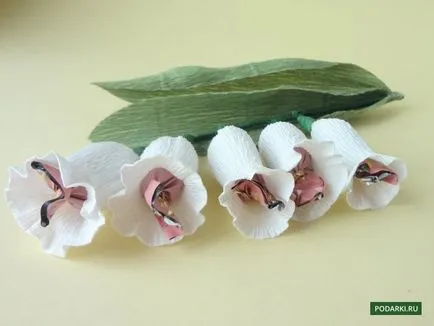 Hogyan készítsünk egy liliom a papír