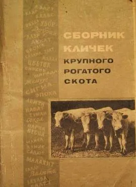 Hogyan nevezzem a borjú