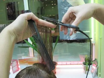 Barber, hogyan kell vágni