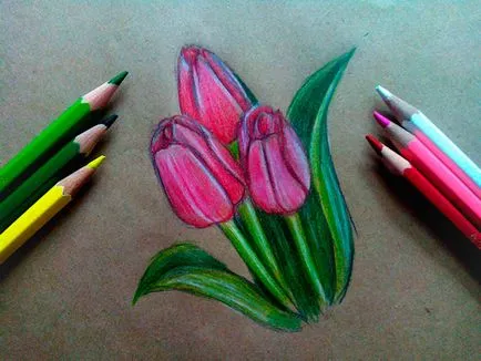 Hogyan kell felhívni a tulipán virág