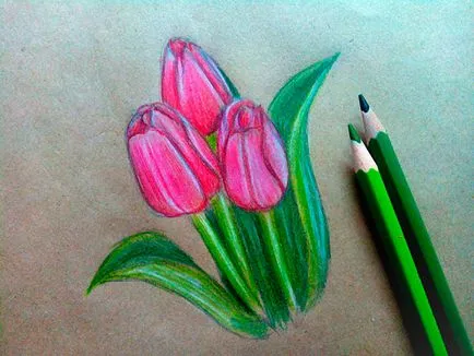 Hogyan kell felhívni a tulipán virág