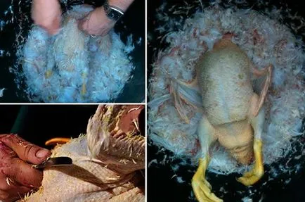 Hogyan megölni kacsa Hogyan megölni kacsa