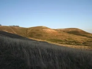Hogyan ünneplik