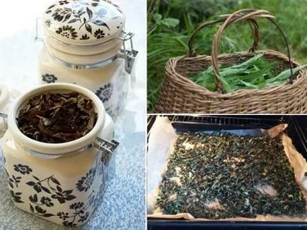 Hogyan készüljünk tea fűzfa tea Hogyan készüljünk tea fűzfa tea