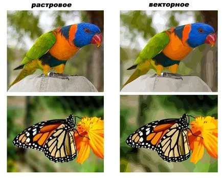 Hogyan transzfer vektor-raszter
