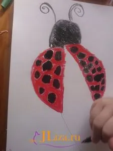 Hogyan kell felhívni a katicabogár