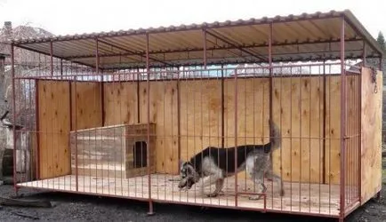 Hogyan készítsünk egy otthoni kutyáknak Hogyan készítsünk egy otthoni kutyáknak