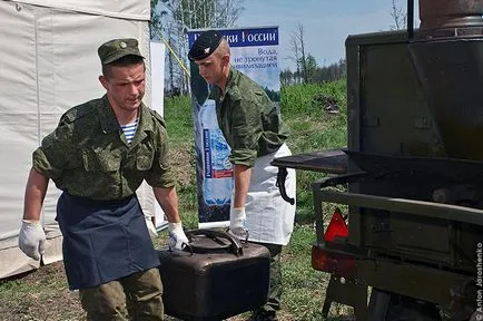 Hogyan ültessünk egy erdőben Hogyan ültessünk egy erdőben
