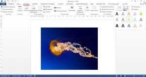 Hogyan írjunk egy képet a felirat