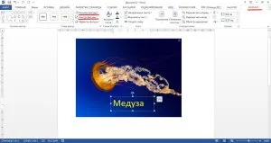 Hogyan írjunk egy képet a felirat