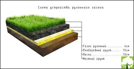Csináld magad kerttervezés Csináld magad kerttervezés