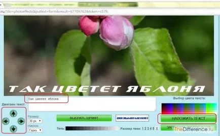 Hogyan írjunk egy képet a felirat Hogyan írjunk egy képet a felirat