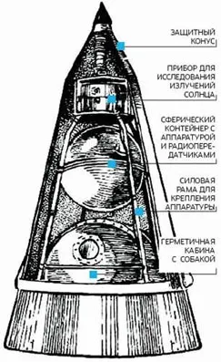 Laika a kutyát tér Laika a kutyát tér