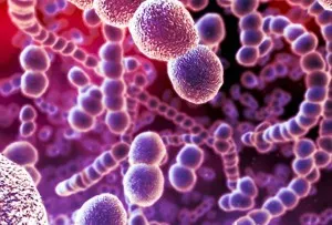 Chlamydia és a terhesség kezelés Chlamydia és a terhesség kezelés