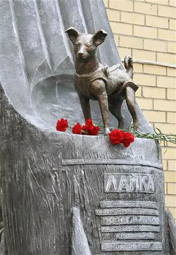 Laika a kutyát tér Laika a kutyát tér