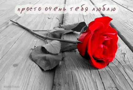 Hogyan lehet képeket