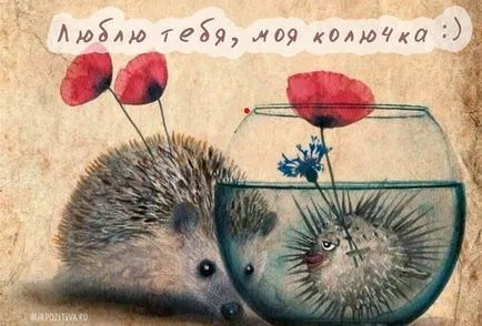 Hogyan lehet képeket