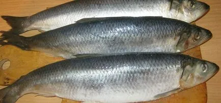 Sózott hering Sózott hering