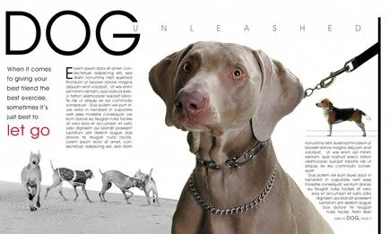 Hogyan tervezzünk egy magazin Hogyan tervezzünk egy magazin