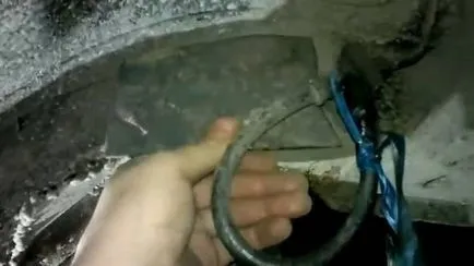 Hogyan sört pát