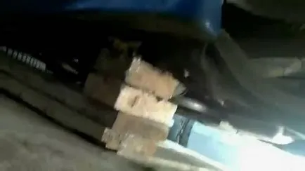 Hogyan sört pát