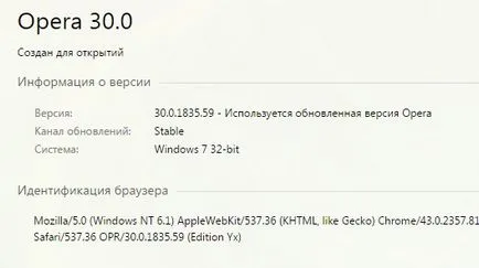 Hogyan működik a Flash Player