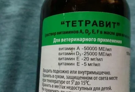 Kiscicák szeretnék felnevelni Kiscicák szeretnék felnevelni