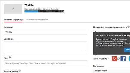 Hogyan kell kitölteni html