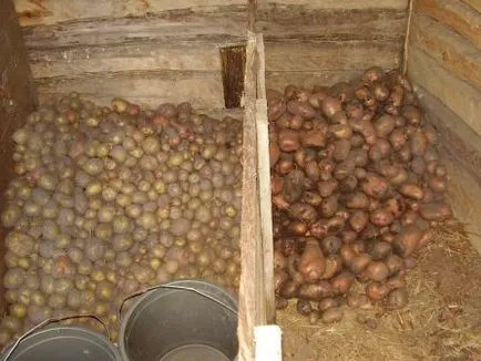 Hogyan ásni egy pince