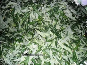 Hogyan készüljünk tea fűzfa tea Hogyan készüljünk tea fűzfa tea