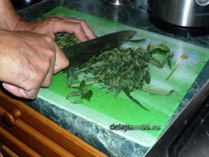 Hogyan készüljünk tea fűzfa tea Hogyan készüljünk tea fűzfa tea