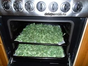 Hogyan készüljünk tea fűzfa tea Hogyan készüljünk tea fűzfa tea
