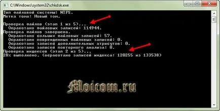 Hogyan kell futtatni skandisk