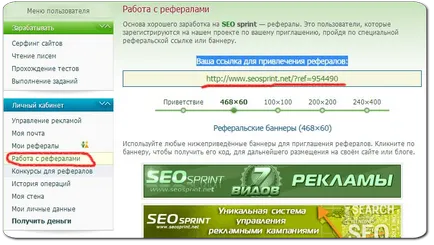 Seo sprint mi ez
