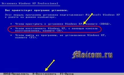 Hogyan kell futtatni skandisk