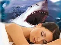 Shark álom könyv, amit