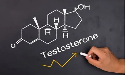 Elemzések hormonok