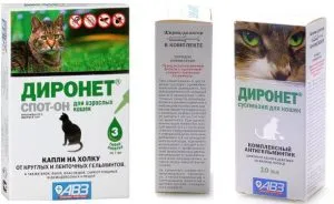 Weboldal „bögre” - szól a macskák!